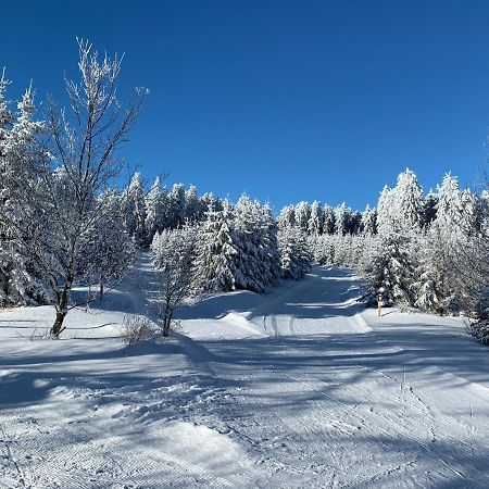 Aktiv-Ferienwohnung "Snow & Bike"- Zentral Zwischen Winterberg Und Willingen Экстерьер фото