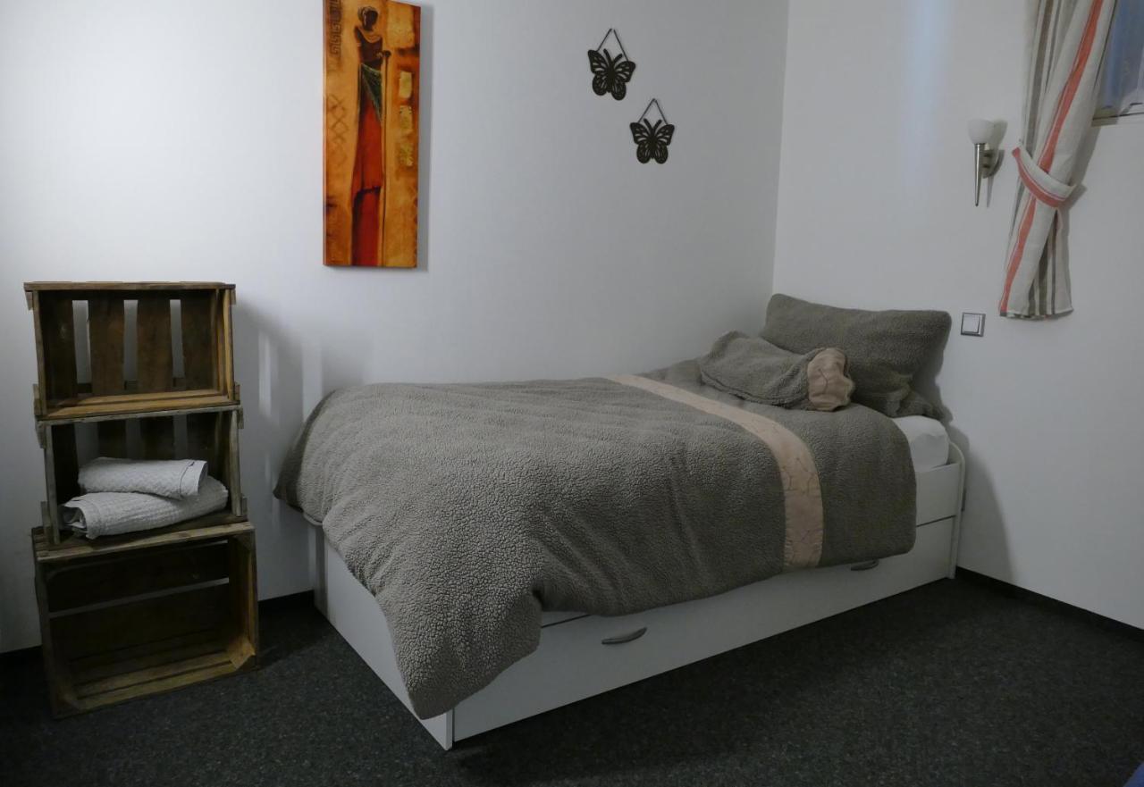 Aktiv-Ferienwohnung "Snow & Bike"- Zentral Zwischen Winterberg Und Willingen Экстерьер фото