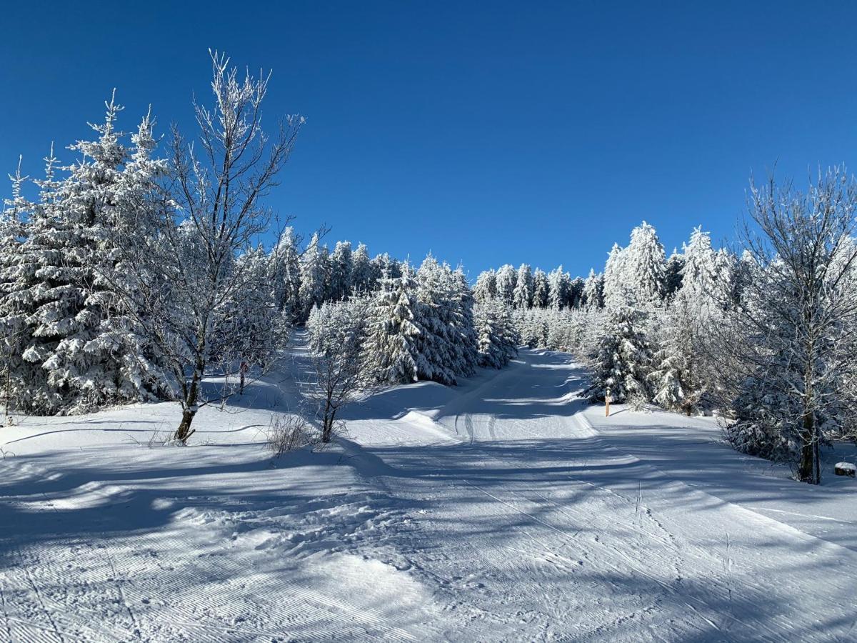 Aktiv-Ferienwohnung "Snow & Bike"- Zentral Zwischen Winterberg Und Willingen Экстерьер фото