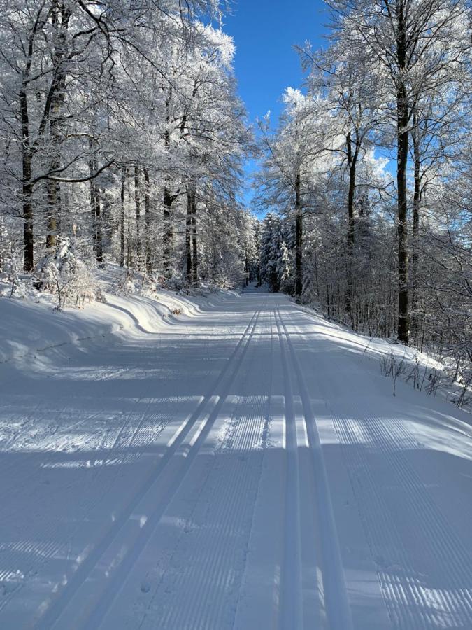 Aktiv-Ferienwohnung "Snow & Bike"- Zentral Zwischen Winterberg Und Willingen Экстерьер фото